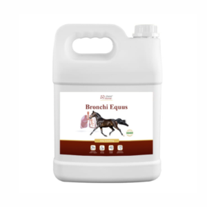 Bronchi Equus 5l