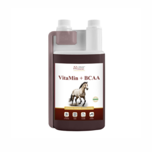 VitaMin + BCAA 1l