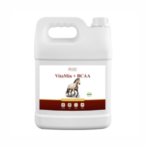 VitaMin + BCAA 5l