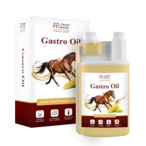 Gastro Oil 2l