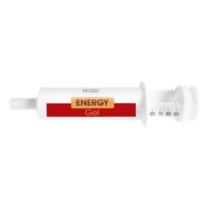 Energy Gel 100ml